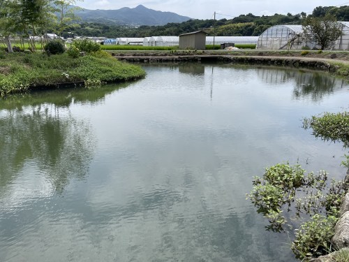 人が増える→環境が悪くなる→遊泳禁止→寂れてゆく、の悪循環を私たちの手で食い止めたい。～尾田川公園　尾田の丸池～