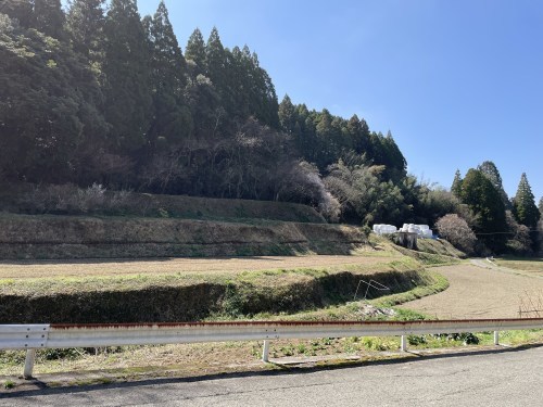 落ちる椿でさえ美しい　～菊池市雪野　清水川水源～