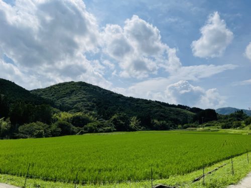 車で行ける山鹿のナイアガラの滝で、夏を見る　～山鹿市鹿北町　釘ノ花の滝～