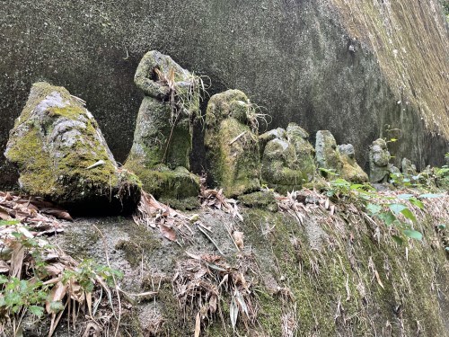 魂が震えるほどの切り口で夏を吸う　～山鹿市菊鹿町木野　岩隈山の切り通し～