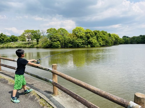 あなたの元へ、ネコバスに乗って飛んでいけたら～荒尾市　赤田公園からトトロ・ネコバス停～