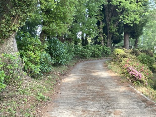 【菊池市】メェ～メェ～呼び続ける私を見つけて～東山公園　メェ～メェ～広場～