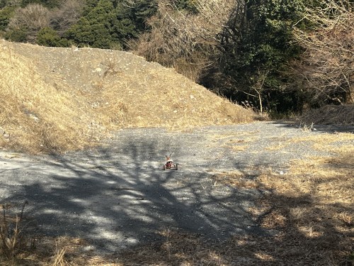 きみが大人になった頃、きっとまた会える　～上益城郡山都町島木　うそご滝と山都町立中島南部小学校跡～