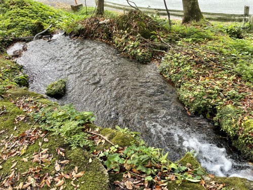 朱色の誘惑、危険な散歩道～阿蘇市一の宮　三閑稲荷神社～