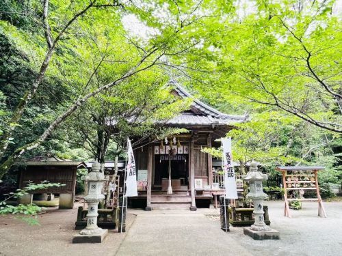 【山鹿市】期間限定の御朱印を求めて「彦嶽宮」へ。予期せず山登りをしてきた話。