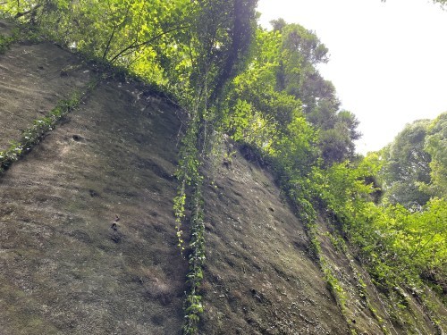 魂が震えるほどの切り口で夏を吸う　～山鹿市菊鹿町木野　岩隈山の切り通し～