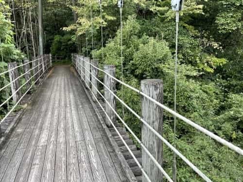 唯一無二の姿で見るものを黙らせる、そんなあなたのような人になりたい～上益城郡山都町城原　五老ヶ滝～