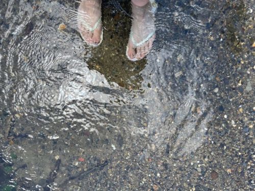 【八代市】夏だー！水遊びだ！子どもから大人まで思いっきり楽しめる「水無川ホタルの里公園」