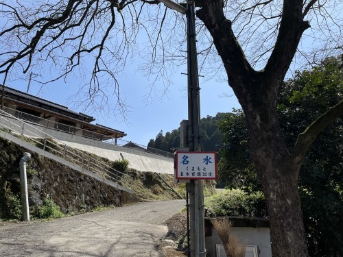 落ちる椿でさえ美しい　～菊池市雪野　清水川水源～