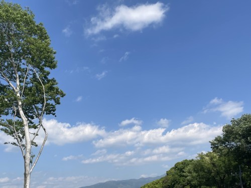 【菊池市】公園新着情報~花房さくら坂公園 開園~
