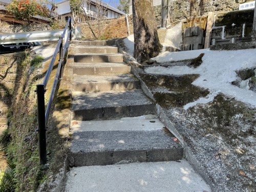 落ちる椿でさえ美しい　～菊池市雪野　清水川水源～