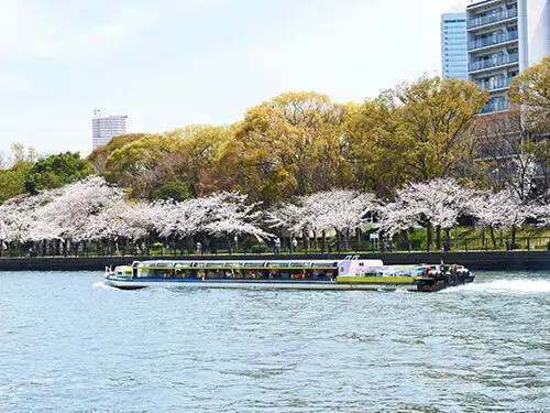 大阪水上バス、「大阪城お花見クルーズ」の一般予約受付を開始