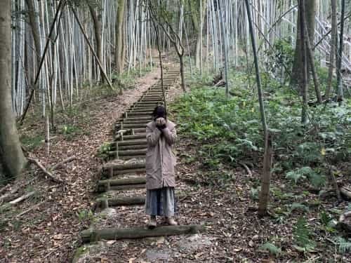 運動不足だなんて、岩せない。～熊本市総合運動公園　謎の大岩～