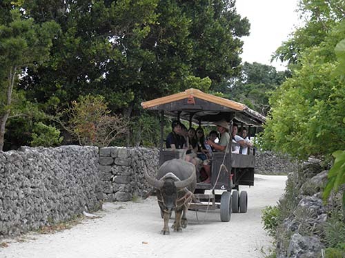 ゆったり時間を楽しむ、沖縄離島の旅