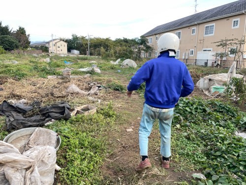 えーっ！思わず二度見！熊本市東区に、かぼちゃ無料の珍スポットが…！！！