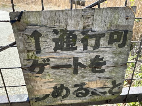 阿蘇山という山はない！阿蘇五岳「根子岳」に登ってきた。