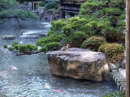 昼は観光、夜は癒しを満喫しよう。山口県の露天風呂付き温泉宿おすすめ11選！