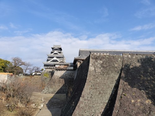 【くまもとの巨木】熊本城・飯田丸五階櫓のクスノキ