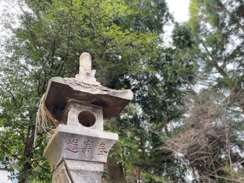 昔は、木と人は仲良しだったんだよ（となりのトトロより）～上益城郡御船町　中原神社～