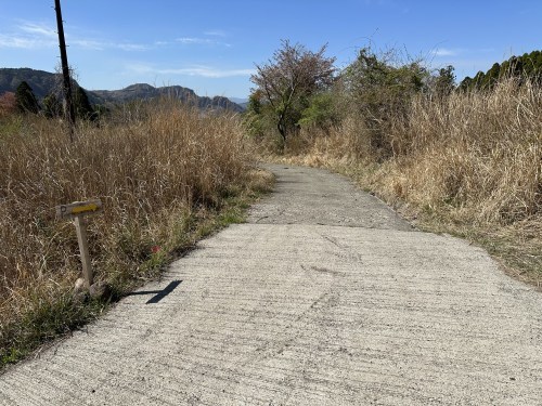 阿蘇山という山はない！阿蘇五岳「根子岳」に登ってきた。