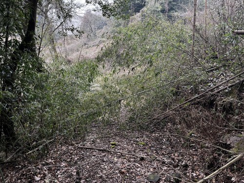 【山都町】水が作った石の迷路が素敵なぞうさんの滝～上益城郡山都町島木～