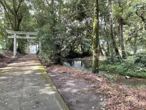 滞った何かを流してくれる場所～菊池郡大津町　矢護川公園、初生神社～