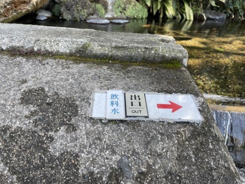 落ちる椿でさえ美しい　～菊池市雪野　清水川水源～