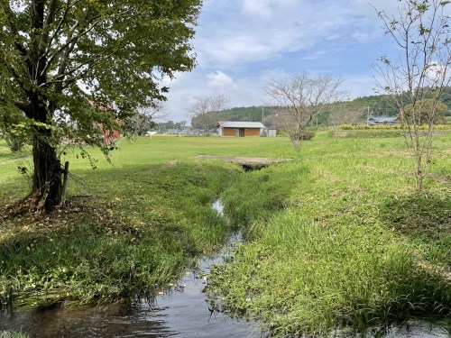 滞った何かを流してくれる場所～菊池郡大津町　矢護川公園、初生神社～