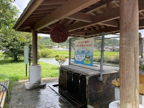 人が増える→環境が悪くなる→遊泳禁止→寂れてゆく、の悪循環を私たちの手で食い止めたい。～尾田川公園　尾田の丸池～