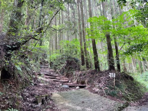 【山鹿市】期間限定の御朱印を求めて「彦嶽宮」へ。予期せず山登りをしてきた話。