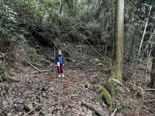 【山都町】水が作った石の迷路が素敵なぞうさんの滝～上益城郡山都町島木～