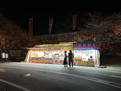 春だ花見だ桜が満開だ！菊池公園で夜桜してきました。