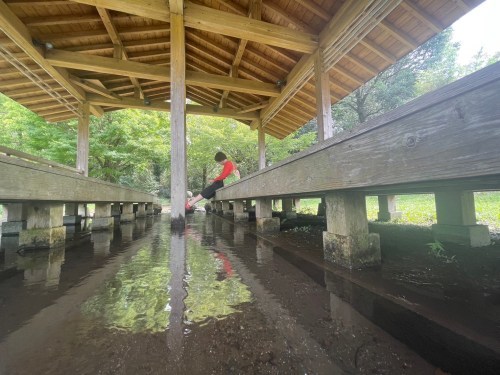 滞った何かを流してくれる場所～菊池郡大津町　矢護川公園、初生神社～