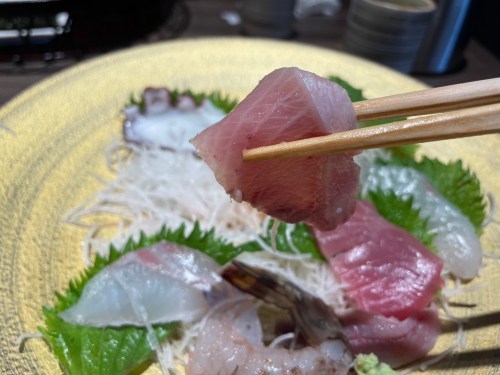 【菊池郡大津町】天草が丸ごとここに…！魚の鮮度がずば抜けている「さかなや 太鮮」