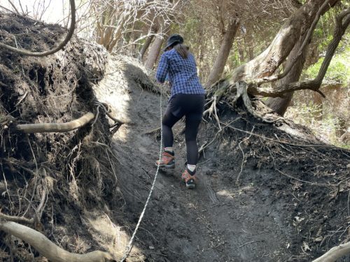 阿蘇山という山はない！阿蘇五岳「根子岳」に登ってきた。