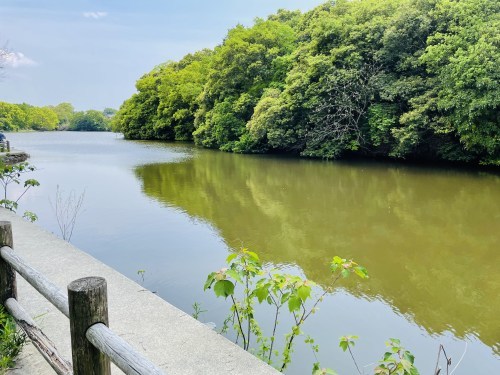 あなたの元へ、ネコバスに乗って飛んでいけたら～荒尾市　赤田公園からトトロ・ネコバス停～