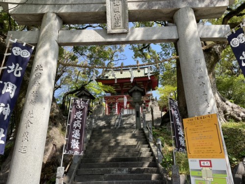 【くまもとの巨木】熊本駅近く「北岡神社の夫婦楠」は縁結びのクスノキ