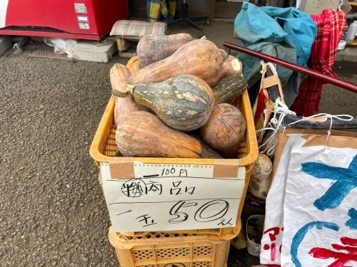 えーっ！思わず二度見！熊本市東区に、かぼちゃ無料の珍スポットが…！！！