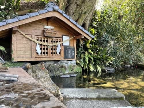 落ちる椿でさえ美しい　～菊池市雪野　清水川水源～