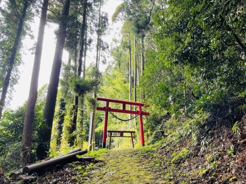 朱色の誘惑、危険な散歩道～阿蘇市一の宮　三閑稲荷神社～