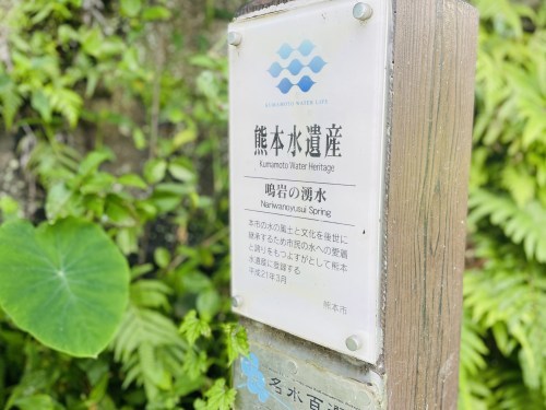 岩の中から水流が聞こえるという「鳴岩」そしてそのそばで絶えた命～熊本市西区花園