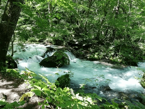 【バス旅】十和田湖のアクティビティ&観光ガイド！カヌー&散策で奥入瀬渓流を満喫！