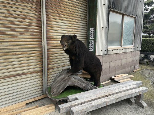 【熊本県】でみつけた珍百景part３