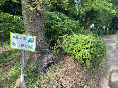 【菊池市】メェ～メェ～呼び続ける私を見つけて～東山公園　メェ～メェ～広場～