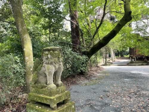 滞った何かを流してくれる場所～菊池郡大津町　矢護川公園、初生神社～