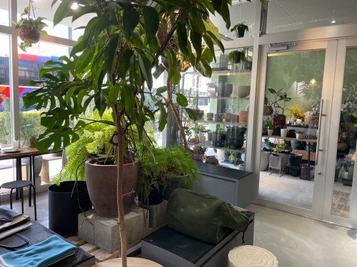 【熊本市中央区】緑に囲まれる幸せを感じて…!街なかのオアシス「GREEN NOTE RELISH(グリーンノートレリッシュ)」