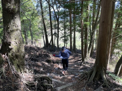 阿蘇山という山はない！阿蘇五岳「根子岳」に登ってきた。