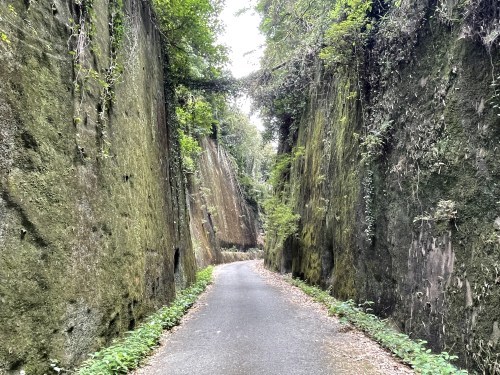 魂が震えるほどの切り口で夏を吸う　～山鹿市菊鹿町木野　岩隈山の切り通し～