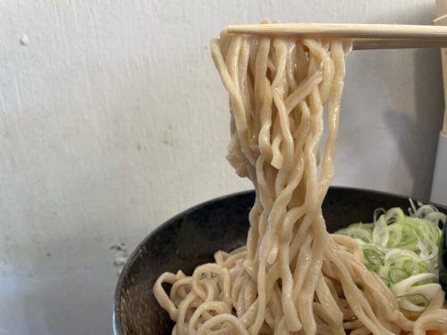 【熊本市東区】がっつりワシワシ系の麺を思いっきり喰らいたければここ！つけ麺すすり屋