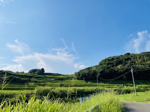 秋が燃える頃、透明な水の上で、鯰の話に恋をした　～菊池市旭志弁利　乙姫湧水～